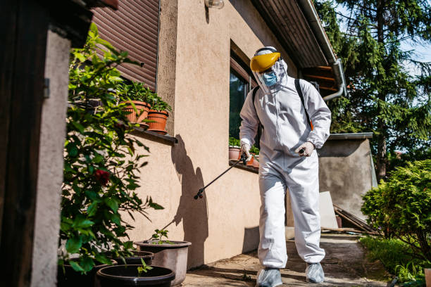 Best Pest Control for Businesses  in Reno, TX