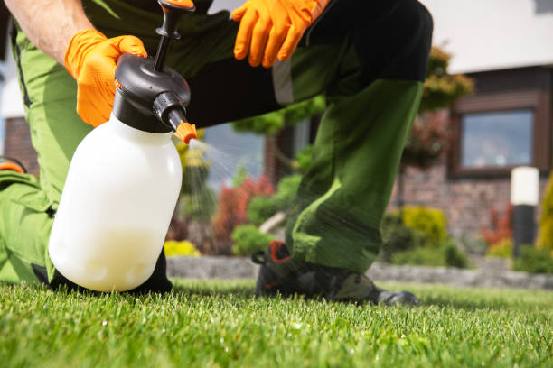 Best Pest Removal Services  in Reno, TX
