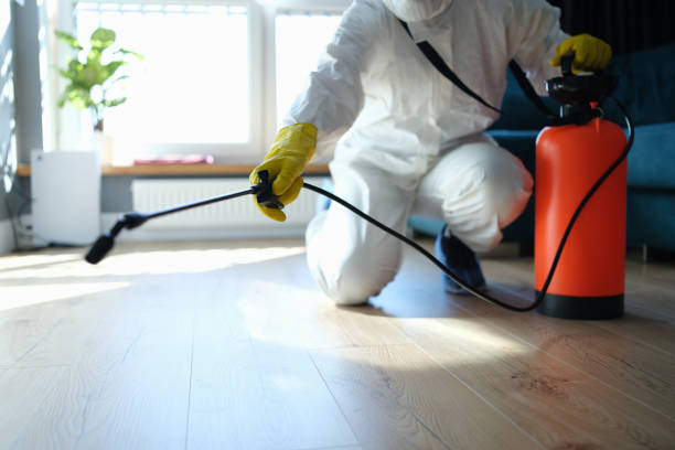 Best Best Pest Control Companies  in Reno, TX