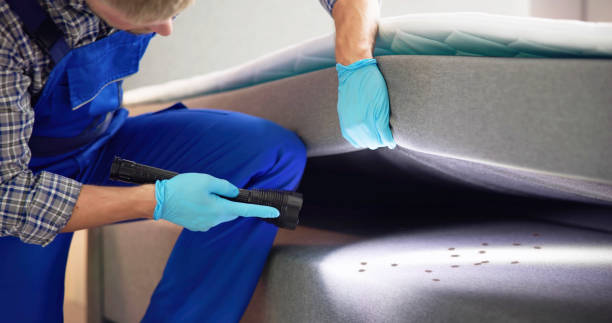 Flea Control Services in Reno, TX