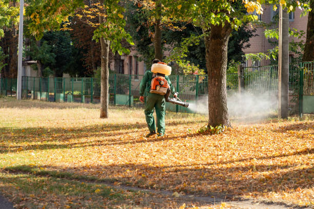 Best Commercial Pest Control Services  in Reno, TX