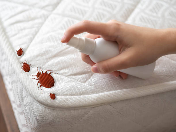  Reno, TX Pest Control Pros